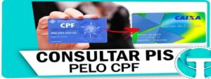 Como consultar o pis pelo CPF