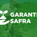 Consultar a garantia-safra pelo CPF