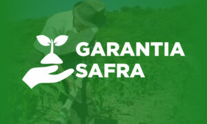 Consultar a garantia-safra pelo CPF