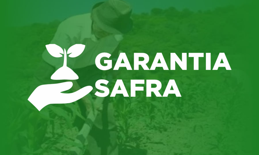 Consultar a garantia-safra pelo CPF Consultar a garantia-safra pelo CPF